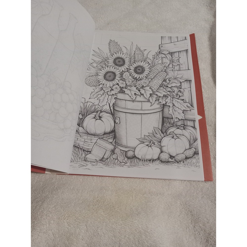 Fall/Thanksgiving Coloring Books - Picture 11 of 14